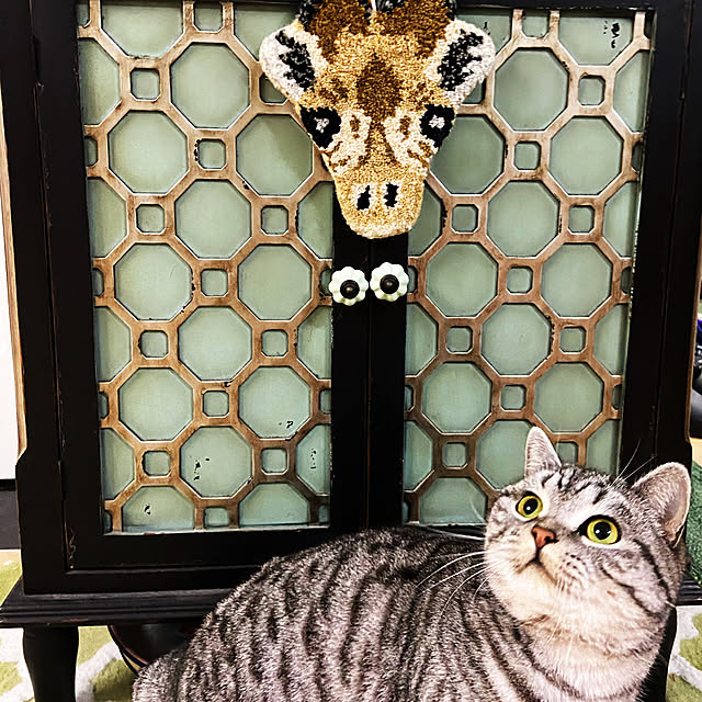 wendyさんの実例写真