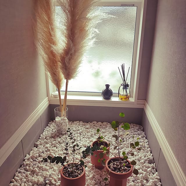 hamuさんの実例写真
