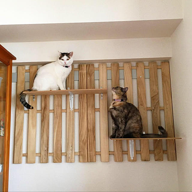 hirohiroppeさんの実例写真