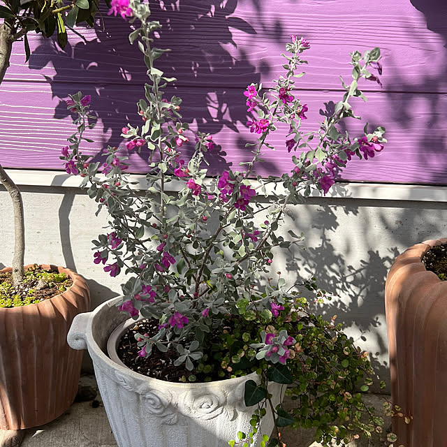 AYUKOさんの部屋