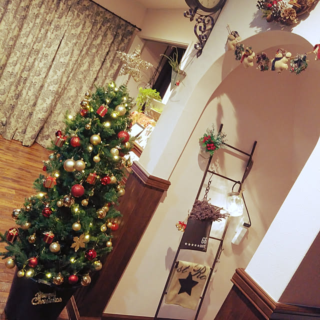 usagiさんの実例写真