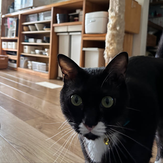 masamasaさんの部屋