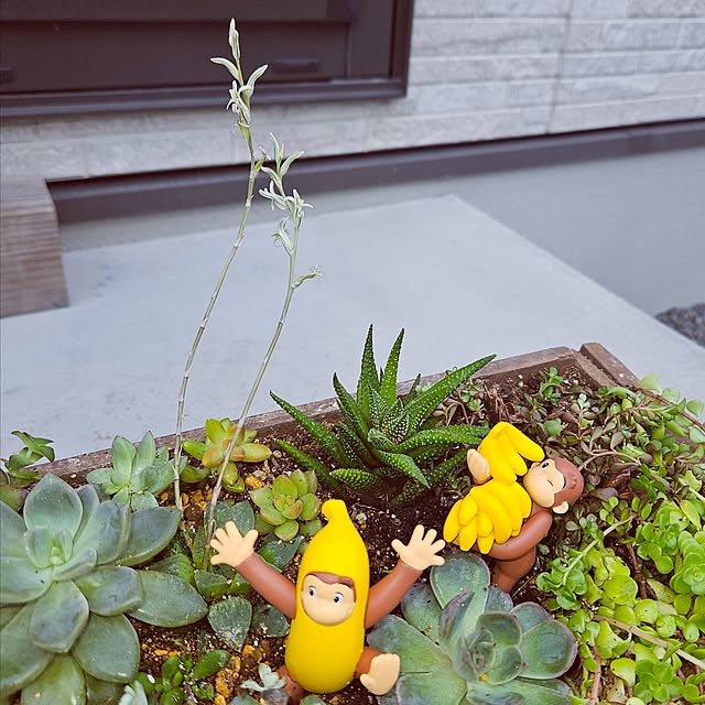 mocomocoさんの部屋