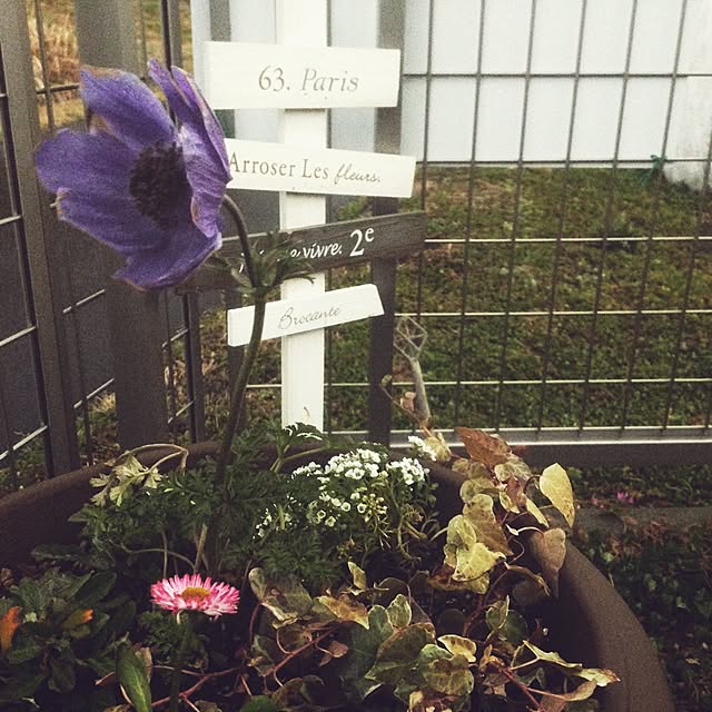 Emiさんの実例写真