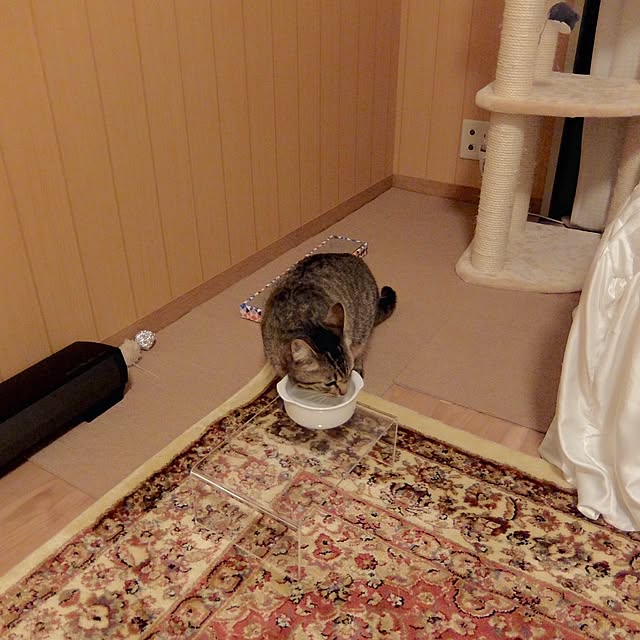 sb_ymhさんの実例写真
