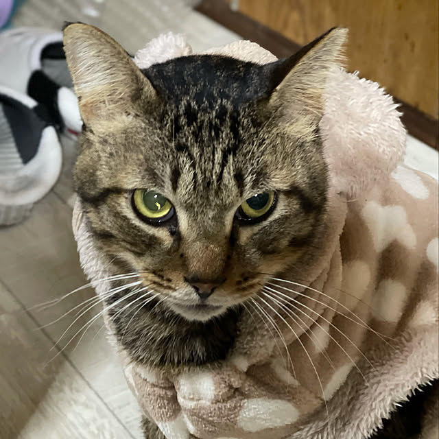 tantanさんの実例写真