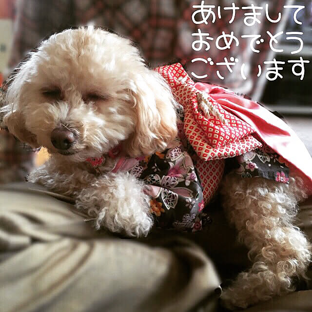 Rinさんの実例写真
