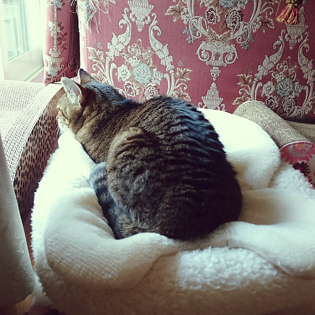 lilyさんの実例写真
