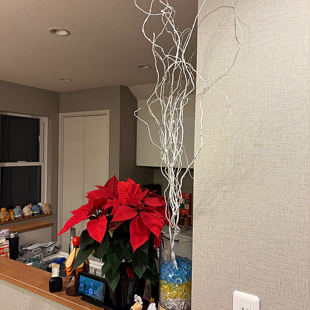 ikuzakさんの部屋