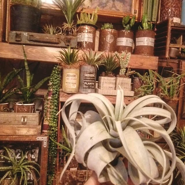 ugさんの実例写真