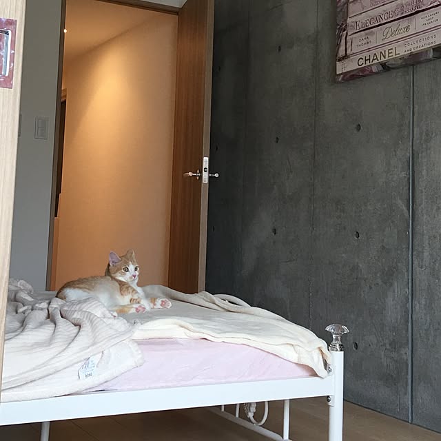 korinkorinさんの実例写真