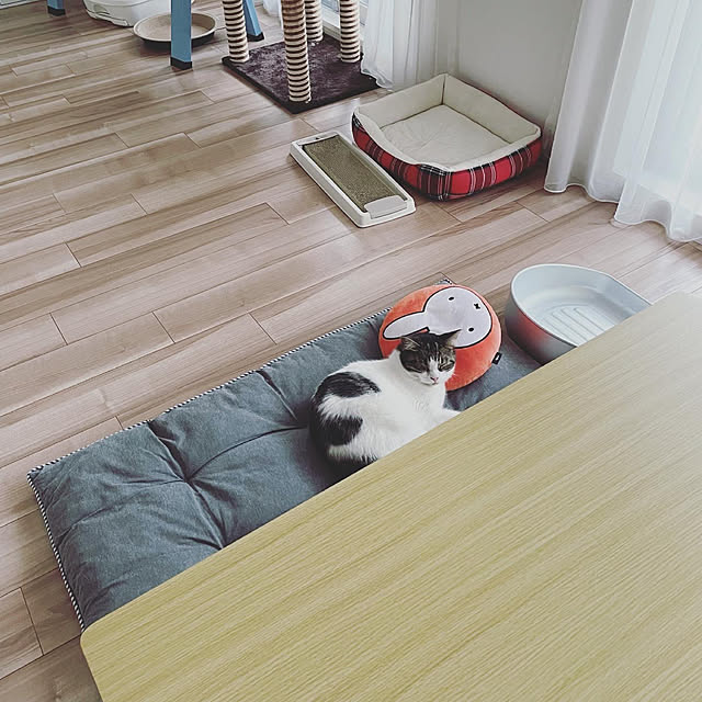 hemukoさんの実例写真
