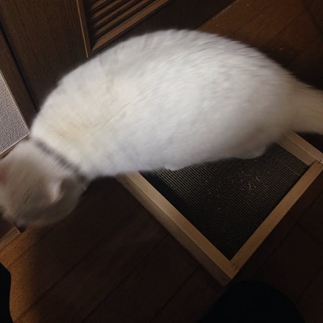 Yukiさんの部屋