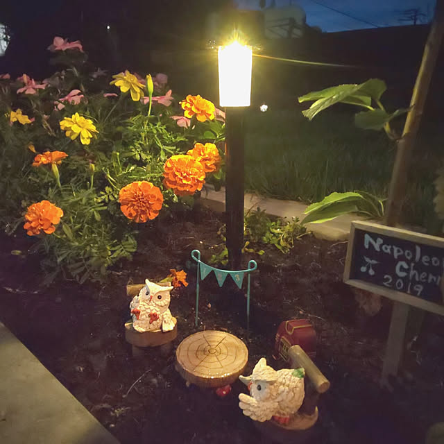 玄関/入り口/ふくろうの置物/ソーラーライト/夜の花壇のインテリア実例 - 2019-09-07 19:00:00