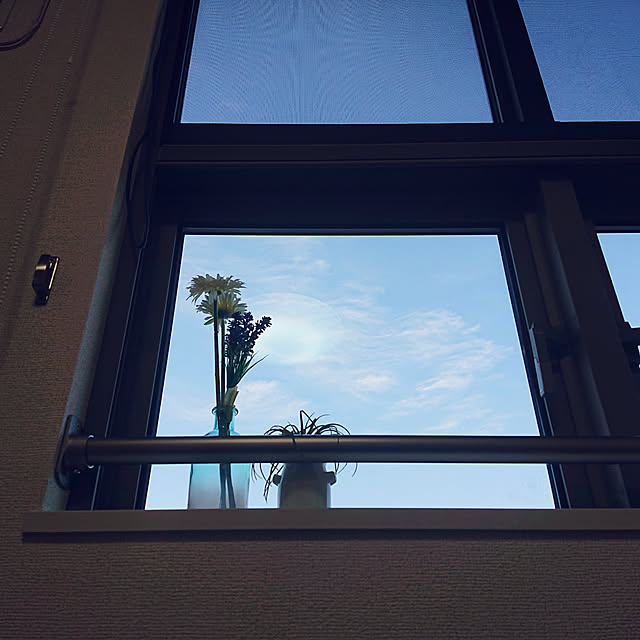 damaさんの実例写真