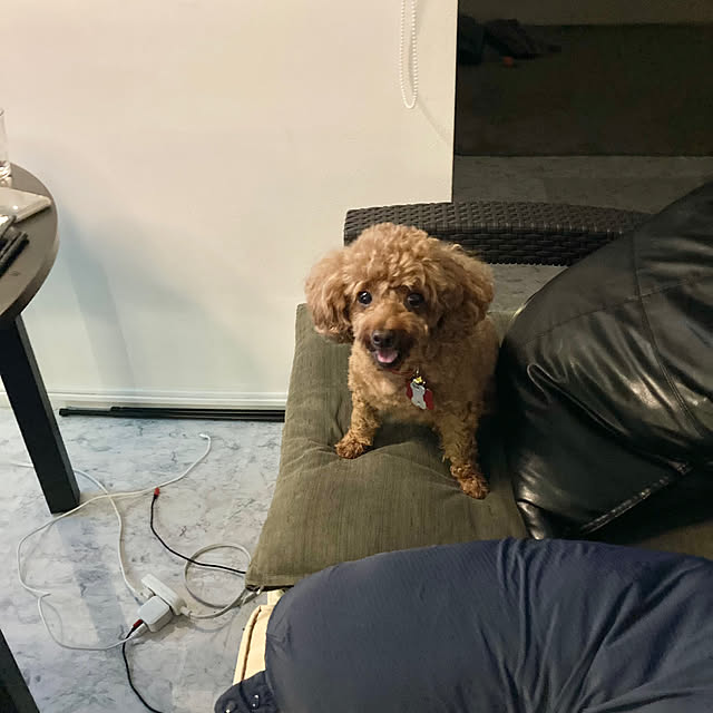 MOMOMAMAさんの部屋