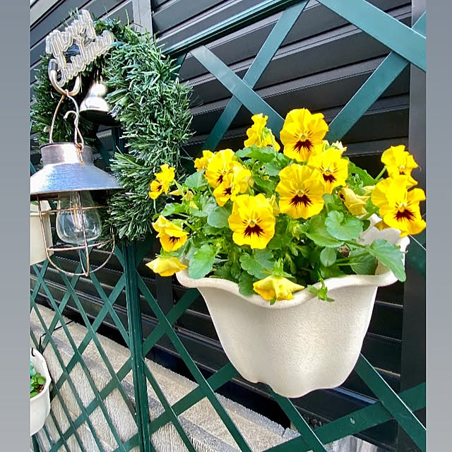 YuuKoさんの実例写真