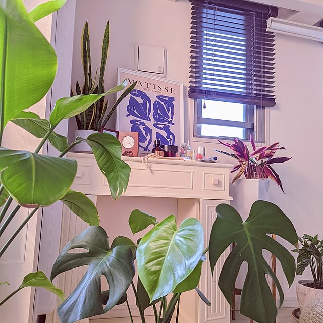 棚/アートポスターのある暮らし/GREENのある暮らし/観葉植物/海外風インテリア...などのインテリア実例 - 2023-05-26 00:26:58