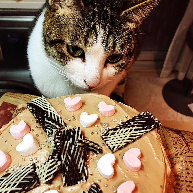 mikenekoさんの実例写真