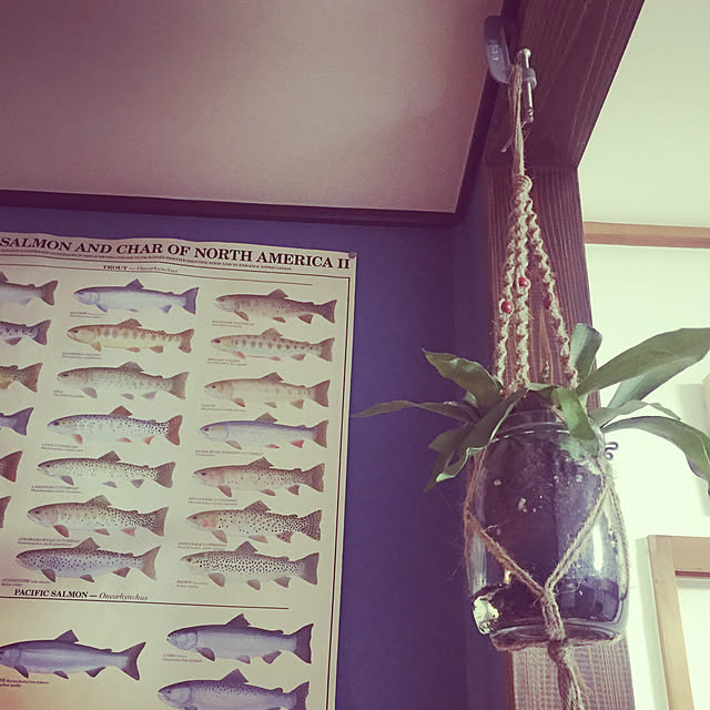 aneさんの実例写真