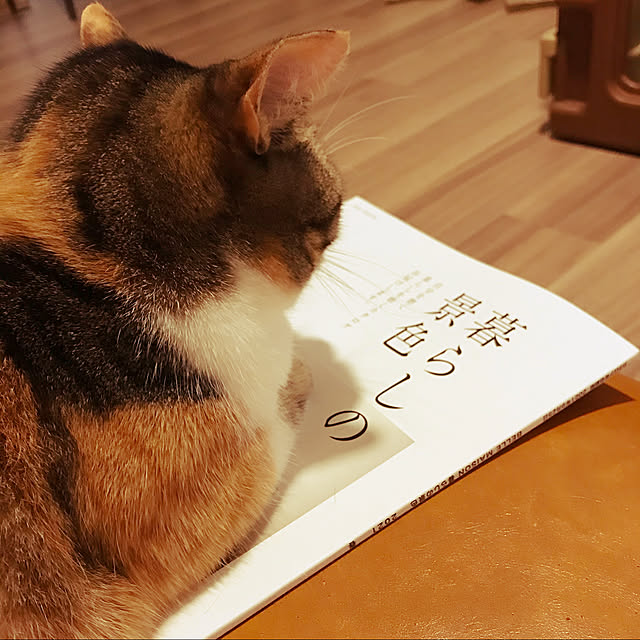 Renさんの実例写真