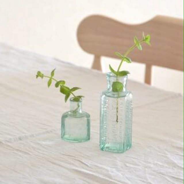 机/観葉植物/アンティーク/植物/雑貨のインテリア実例 - 2013-11-27 20:58:49