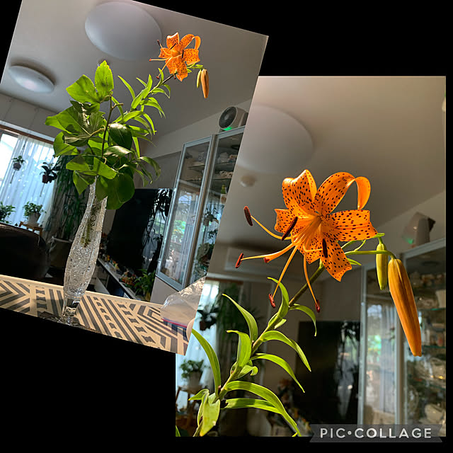 Aqettyさんの部屋