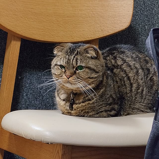 noguriさんの部屋