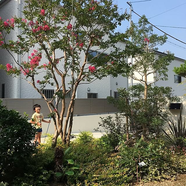 Kumiさんの実例写真