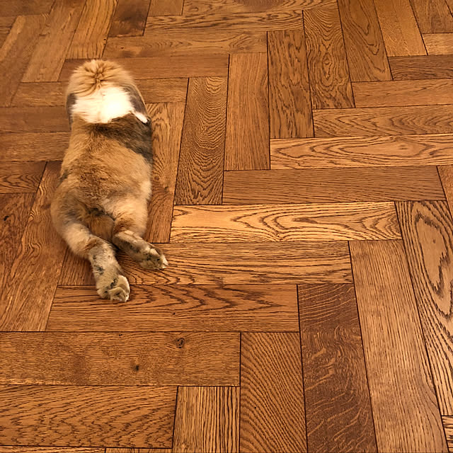 naokoomuraさんの実例写真