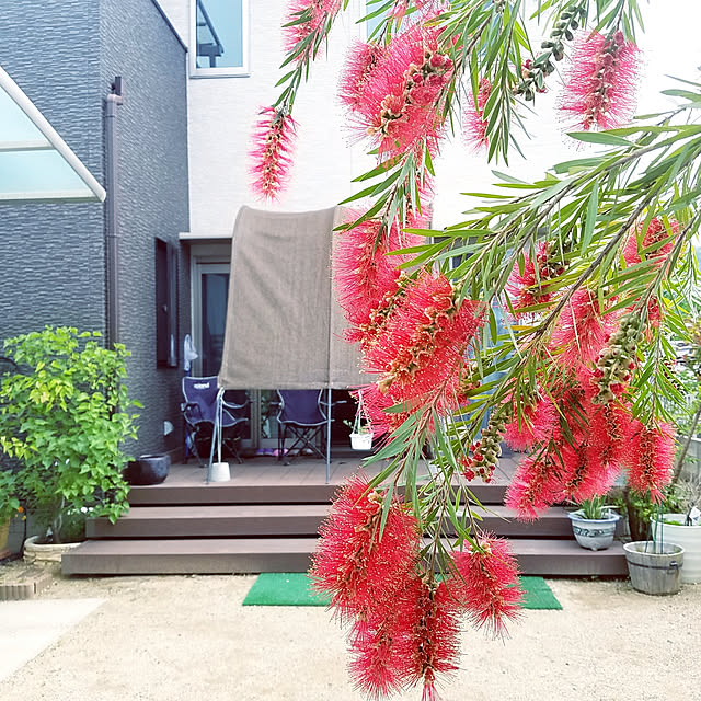 325unさんの実例写真