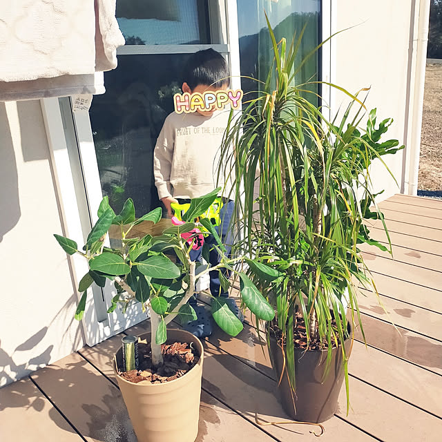 suzuさんの実例写真