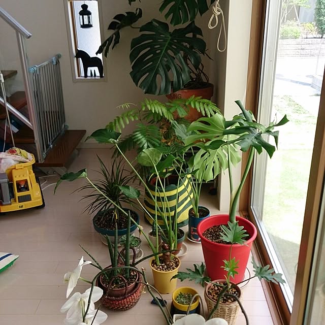 urchinさんの実例写真
