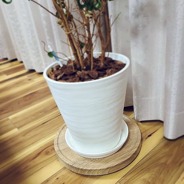 fujiさんの実例写真