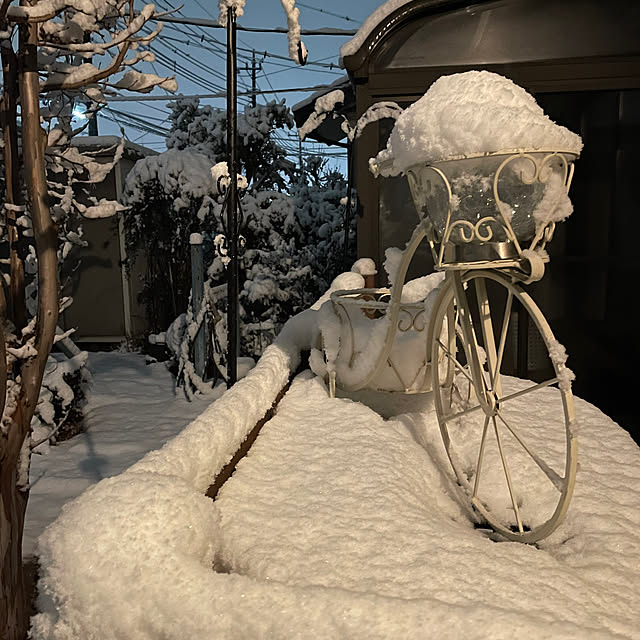 ronronさんの部屋