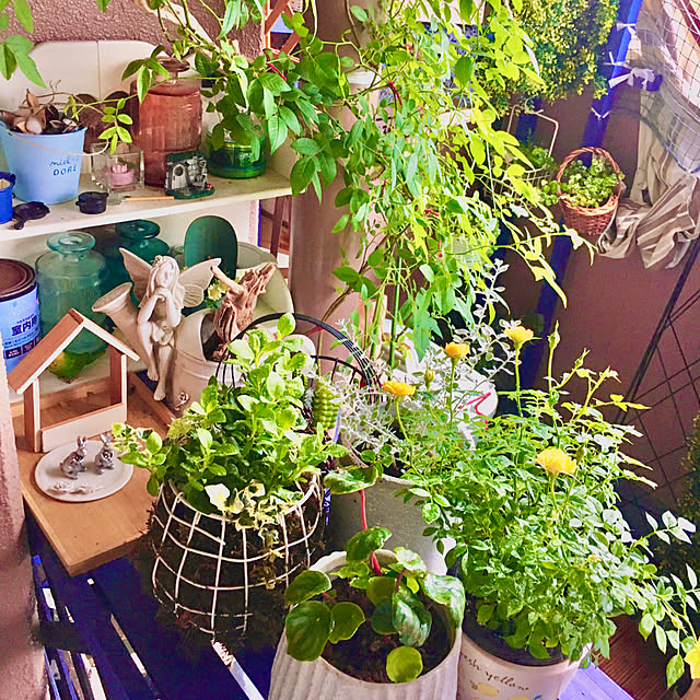 naokoさんの部屋