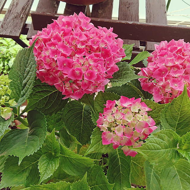 akiさんの実例写真