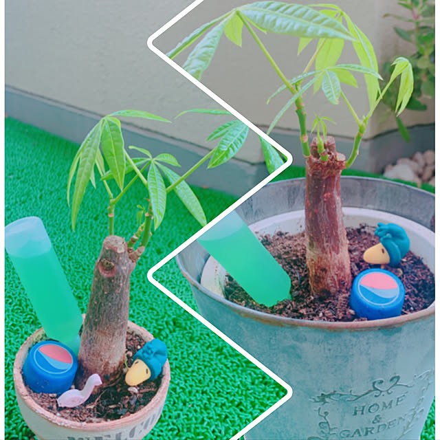 totoさんの実例写真