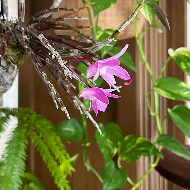 kuuさんの部屋