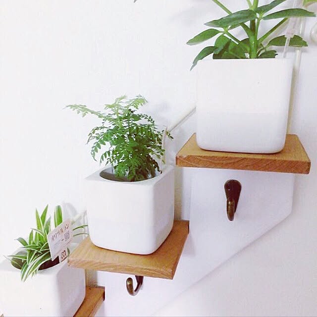 壁/天井/雑貨/観葉植物のインテリア実例 - 2016-12-19 23:26:11