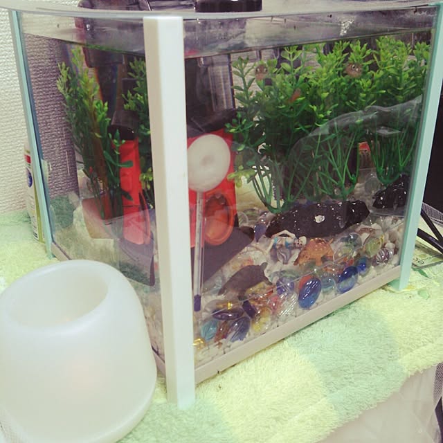 ooniさんの実例写真