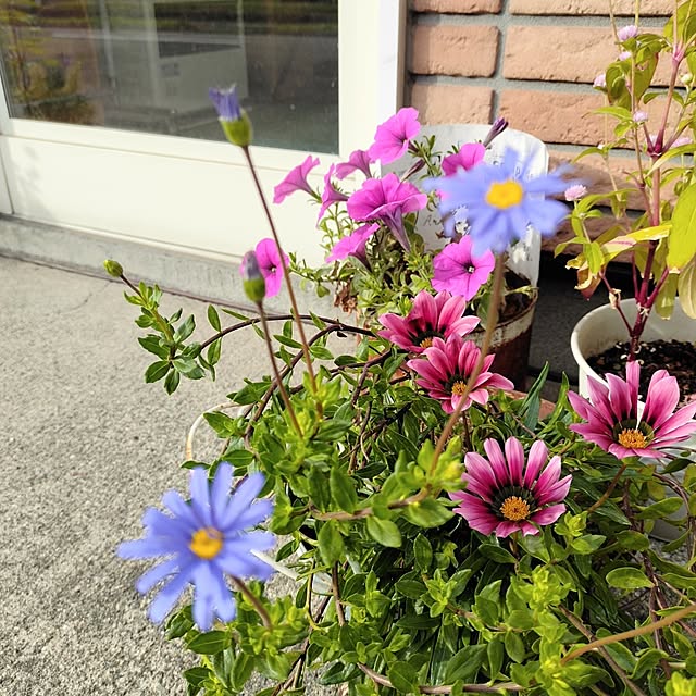 kiraさんの部屋