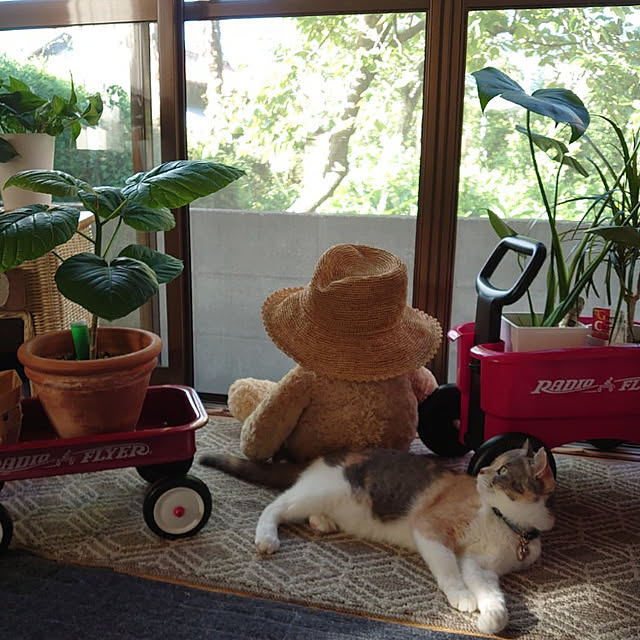 fukuさんの実例写真