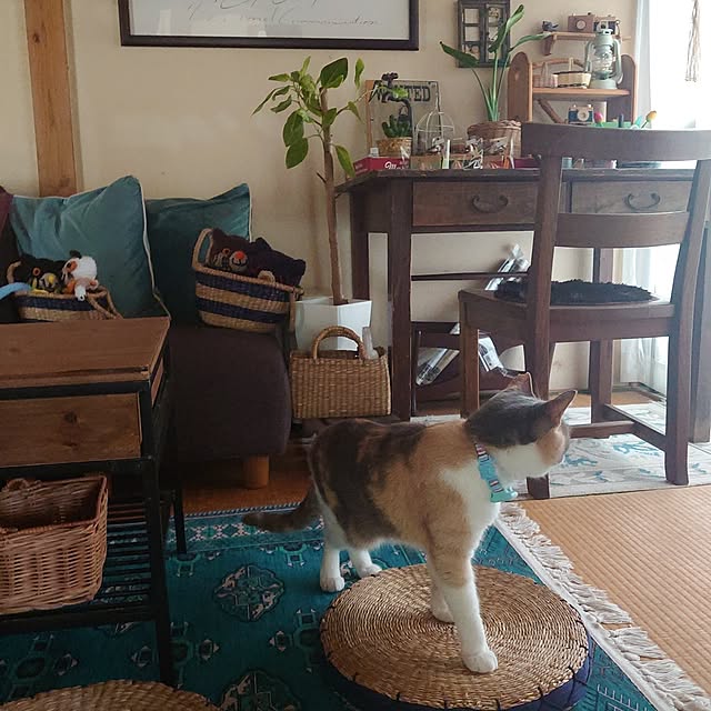 fukuさんの実例写真