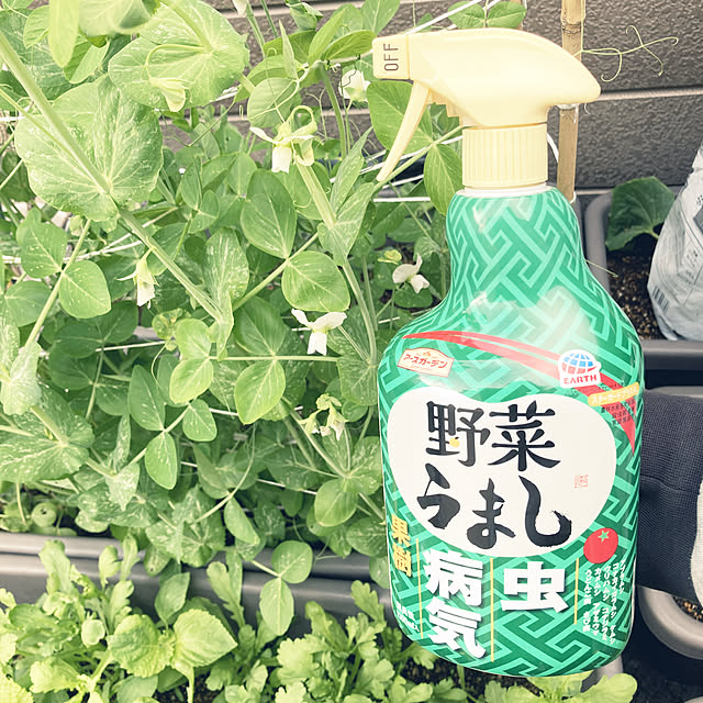 riseruさんの実例写真