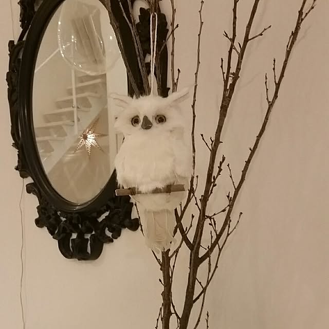 runayucoさんの実例写真