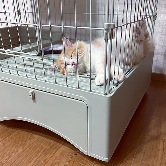 junさんの部屋