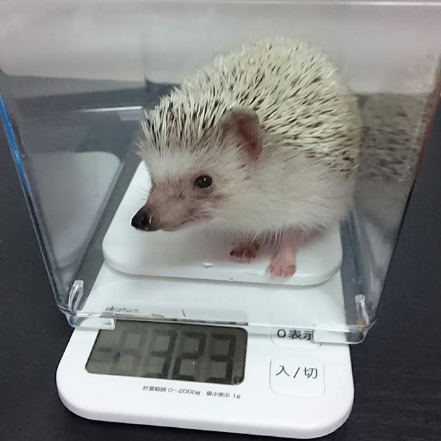 Reikomさんの実例写真