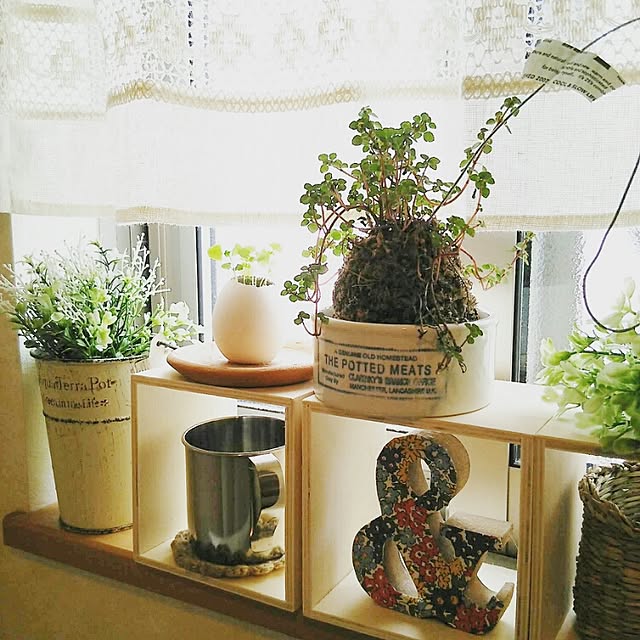 greencafeさんの実例写真