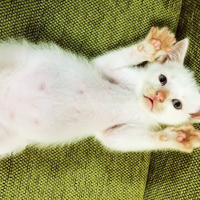 kimkim221さんの実例写真